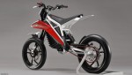 Husqvarna E-go
