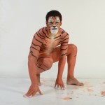 imagebam.com