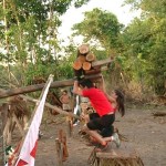 imagebam.com